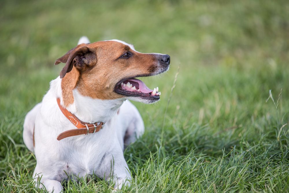 The Gossip Column: January 10, 2025